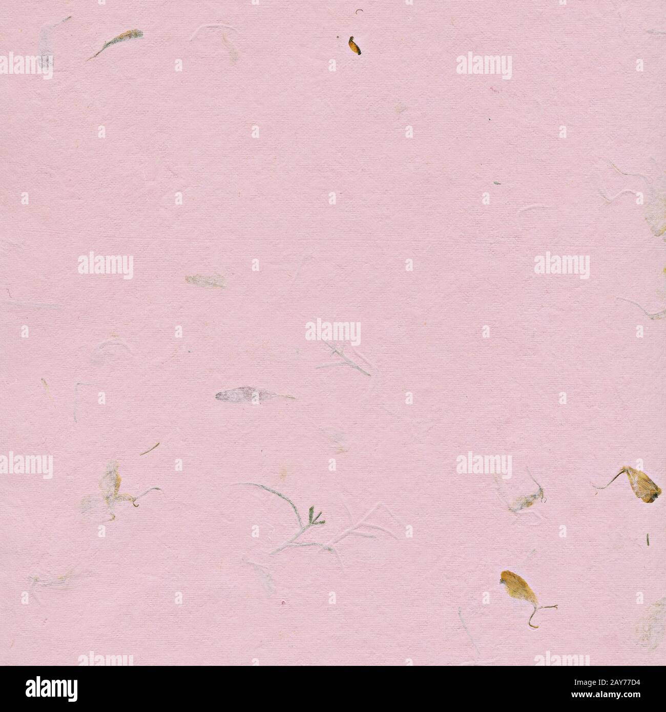 Antecedentes en papel rosa con plantas secas Foto de stock