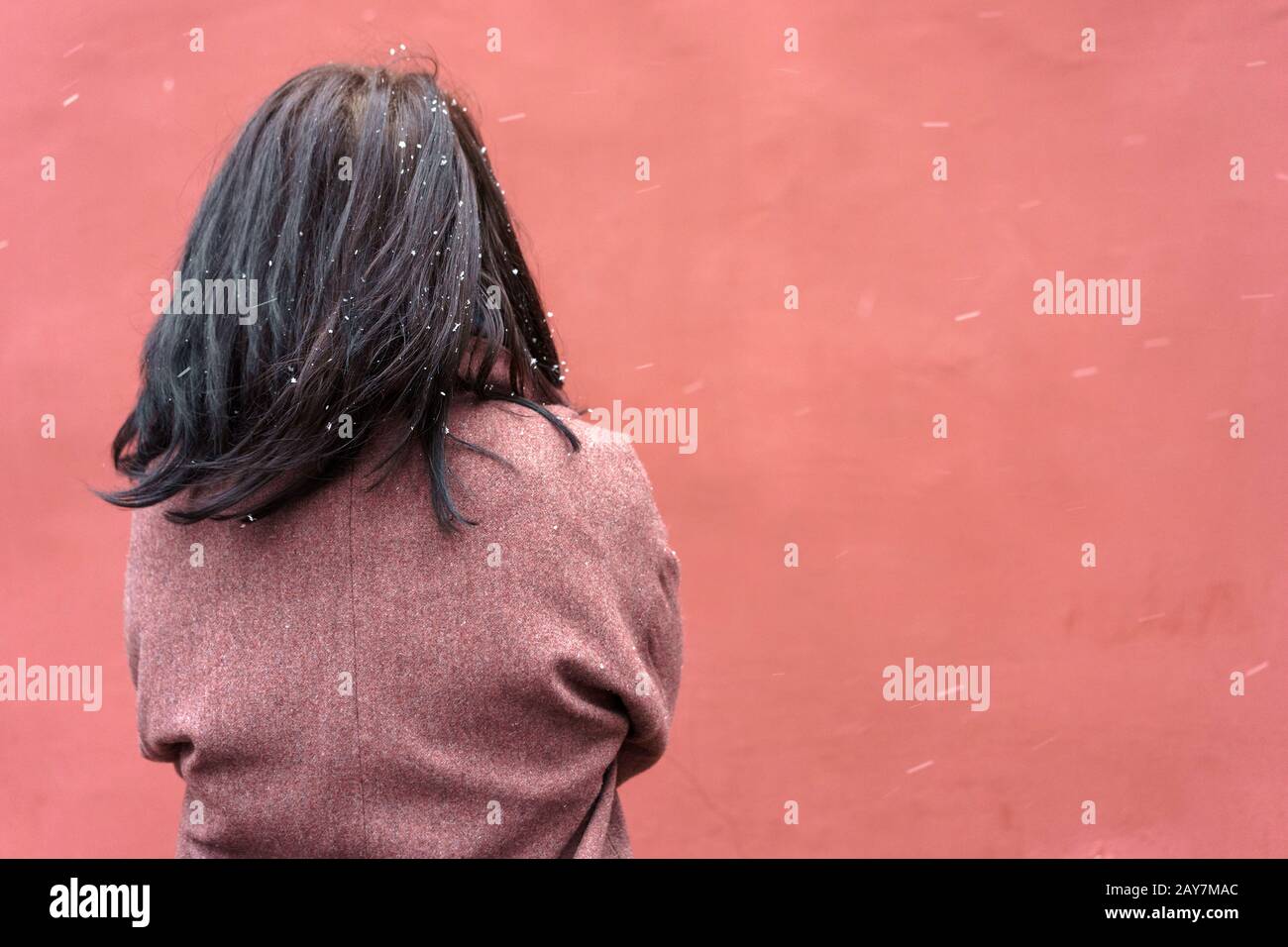 Retrato de una mujer en un abrigo de borgoña con vista larga de pelo negro desde la espalda Foto de stock