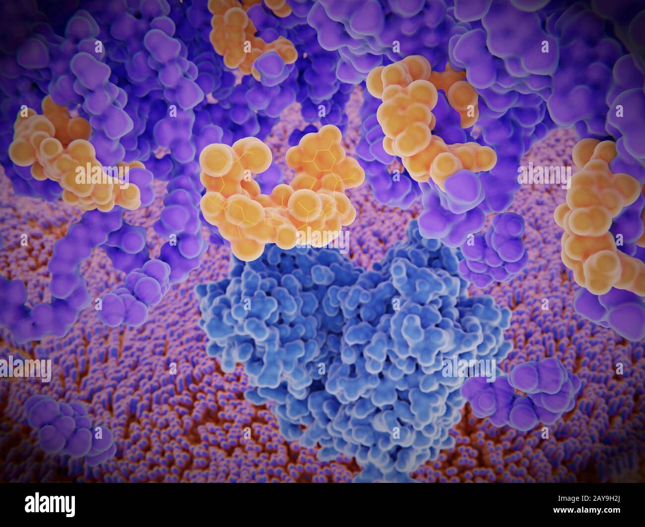 Proteína de resistencia a vancomicina, modelo molecular Foto de stock