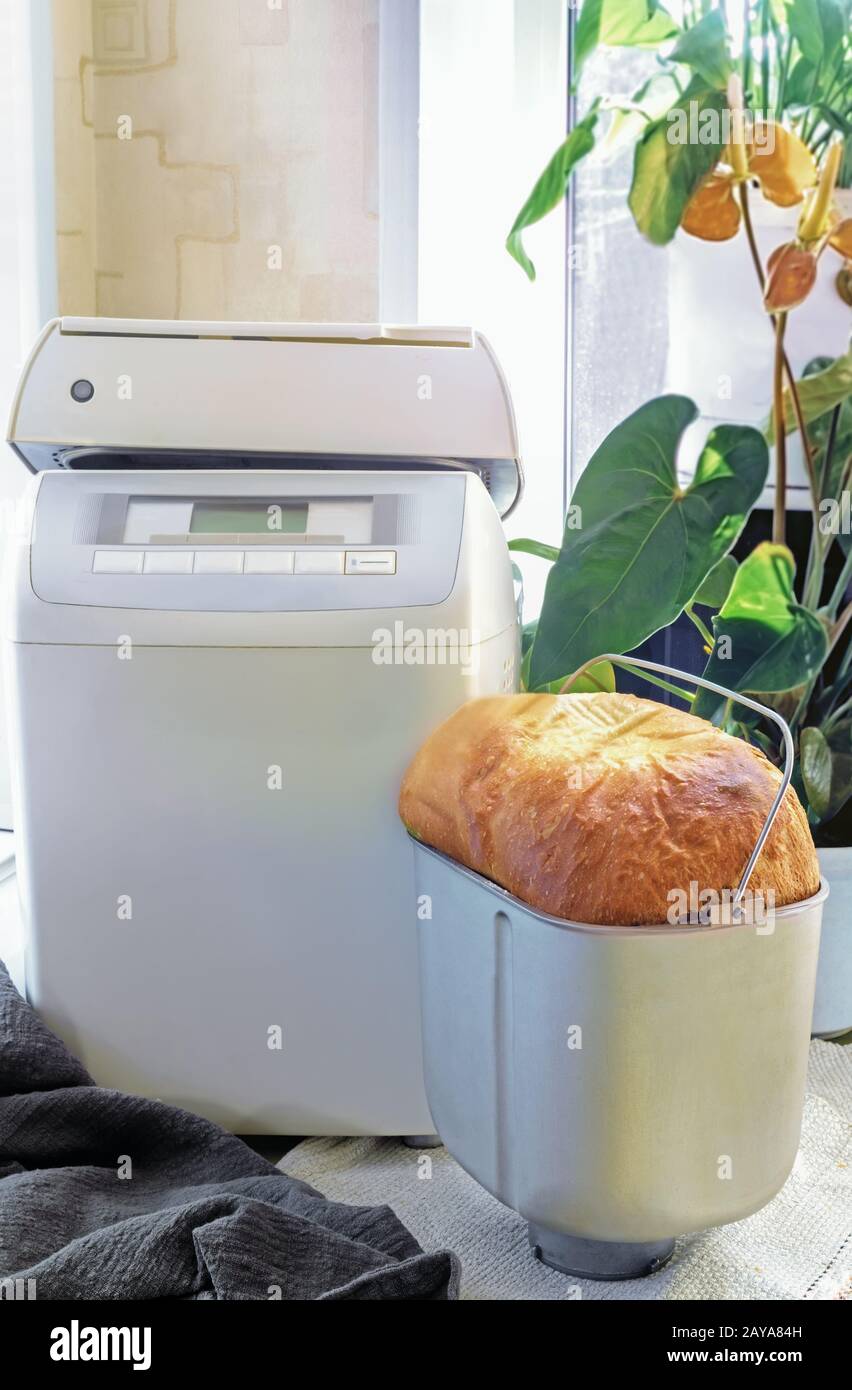 Horno eléctrico para hornear pan en casa Fotografía de stock - Alamy