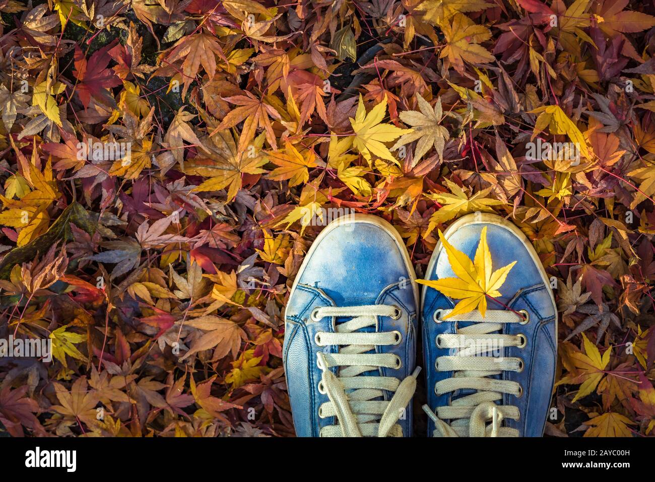Temporada de otoño en estilo HIPSTER zapatos Foto de stock
