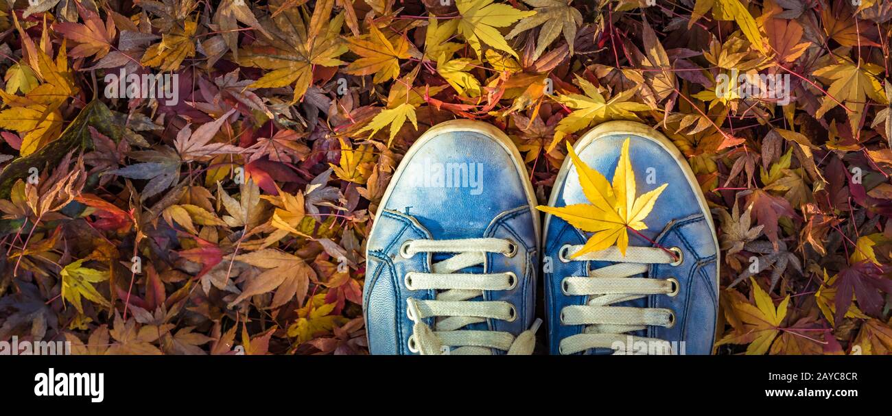 Temporada de otoño en estilo HIPSTER zapatos Foto de stock
