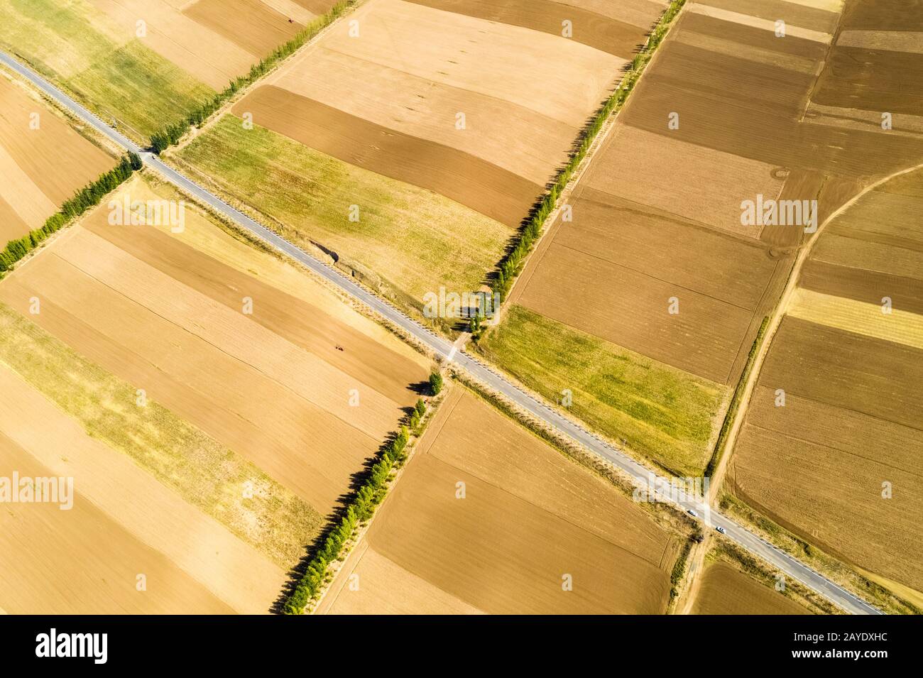 tierras de cultivo en otoño de siembra Foto de stock