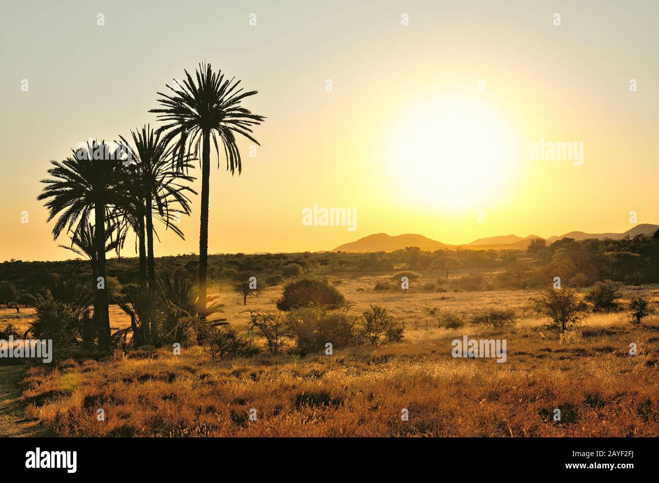 El sol y los paisajes de Namibia Foto de stock