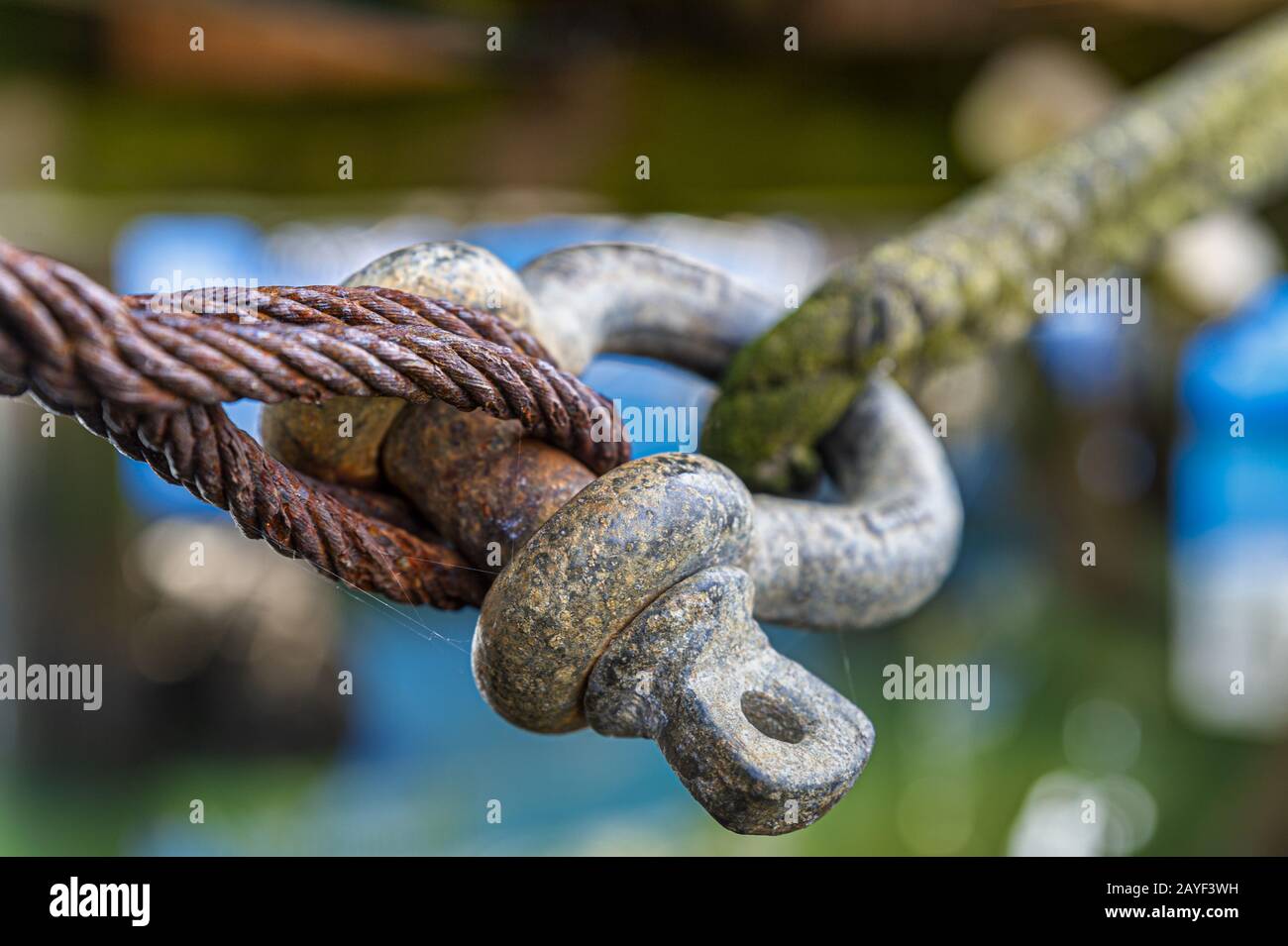 Un grillete conecta la cuerda de acero y la línea Foto de stock