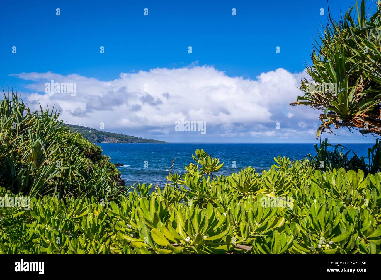 Una con vistas de la naturaleza en Maui, Hawai Foto de stock