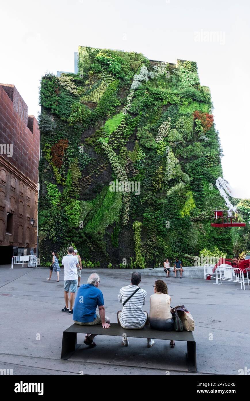 'Green Wall' Del Botánico Francés Patrick Blanc, Madrid, España Foto de stock