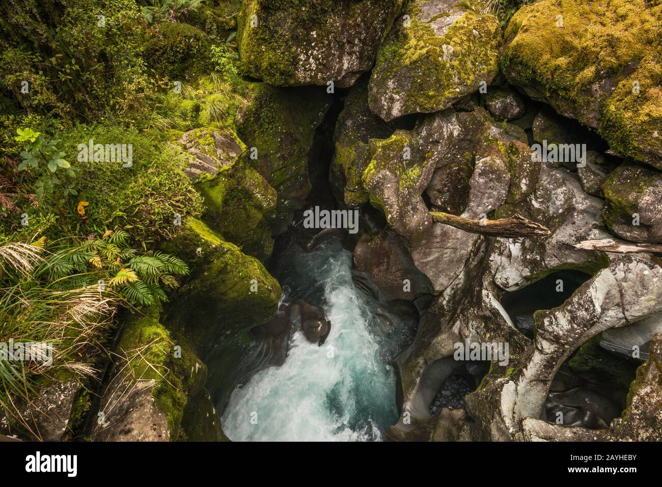 Los baches aterrizan en las rocas junto al río Cleddau en el Chasm, el Parque Nacional Fiordland, cerca de Milford Sound, Región Southland, Isla del Sur, Nueva Zelanda Foto de stock