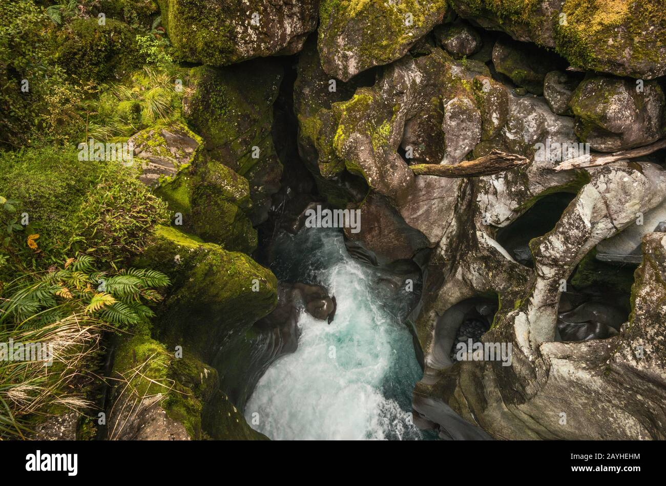 Los baches aterrizan en las rocas junto al río Cleddau en el Chasm, el Parque Nacional Fiordland, cerca de Milford Sound, Región Southland, Isla del Sur, Nueva Zelanda Foto de stock