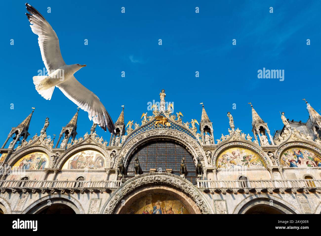Basílica de San Marco (Basílica de San Marcos) y gaviota voladora en Venecia, Italia. La Basílica de San Marcos fue construida en el siglo 12 y es la principal Foto de stock