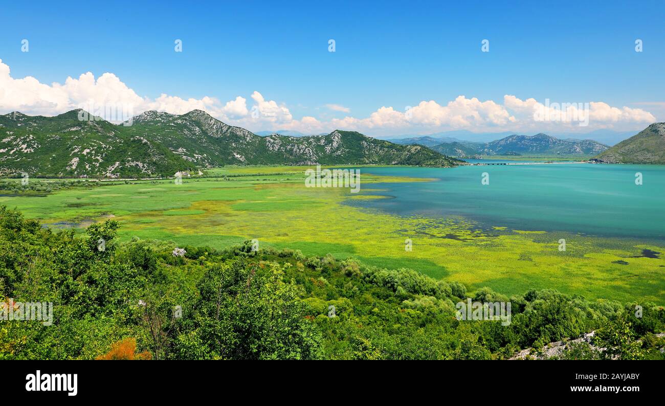 Lago Skadar, Bahía Virpazar, Montenegro, Parque Nacional Skadarsee Foto de stock