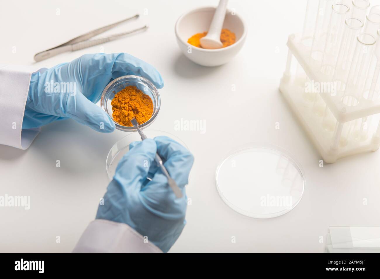 Hombre en guantes haciendo investigación de las propiedades de la curcuma Foto de stock