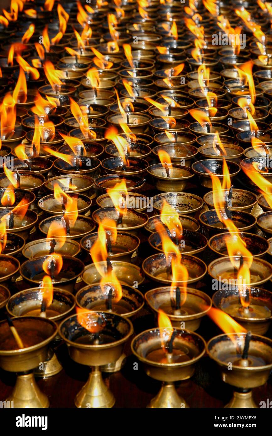 Muchas lámparas de té en el templo nepalí Foto de stock
