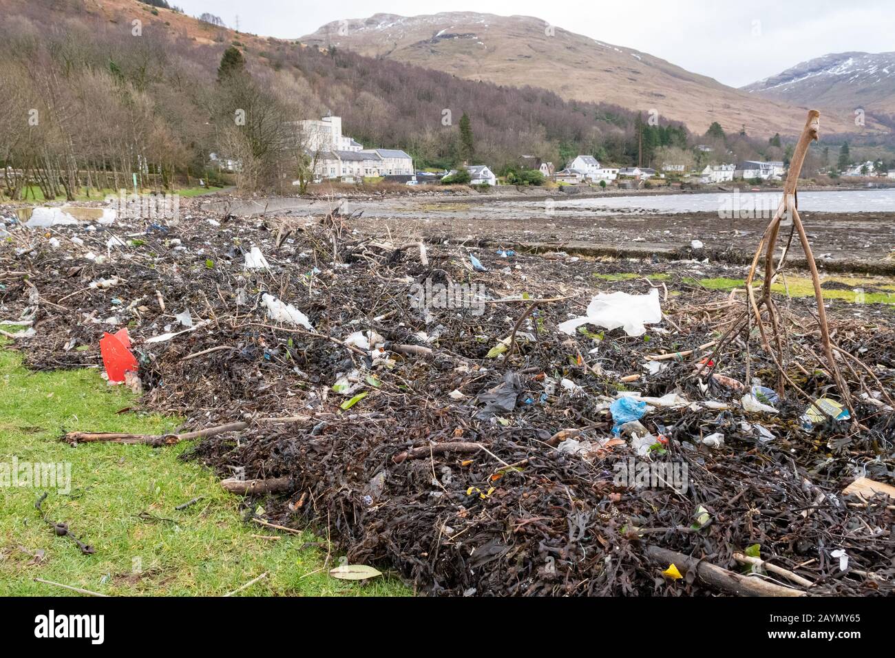 Scottish Highlands, Reino Unido. 16 de febrero de 2020. Clima en el Reino Unido - Storm Dennis deposita otra carga de algas marinas (principalmente de plástico) enredadas a orillas del lago Long en Arrochar, dentro del Loch Lomond y el Parque Nacional Trossachs. Crédito: Kay Roxby/Alamy Live News Foto de stock