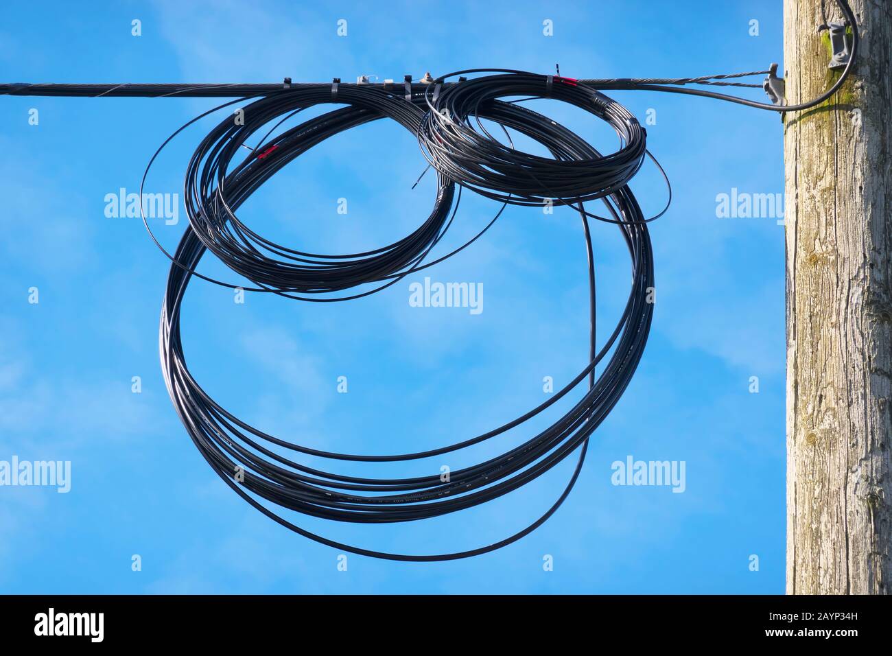 Cables de fibra óptica conectados a un router de gama alta la máquina a un  equipo de apoyo del centro de datos cloud computing Fotografía de stock -  Alamy