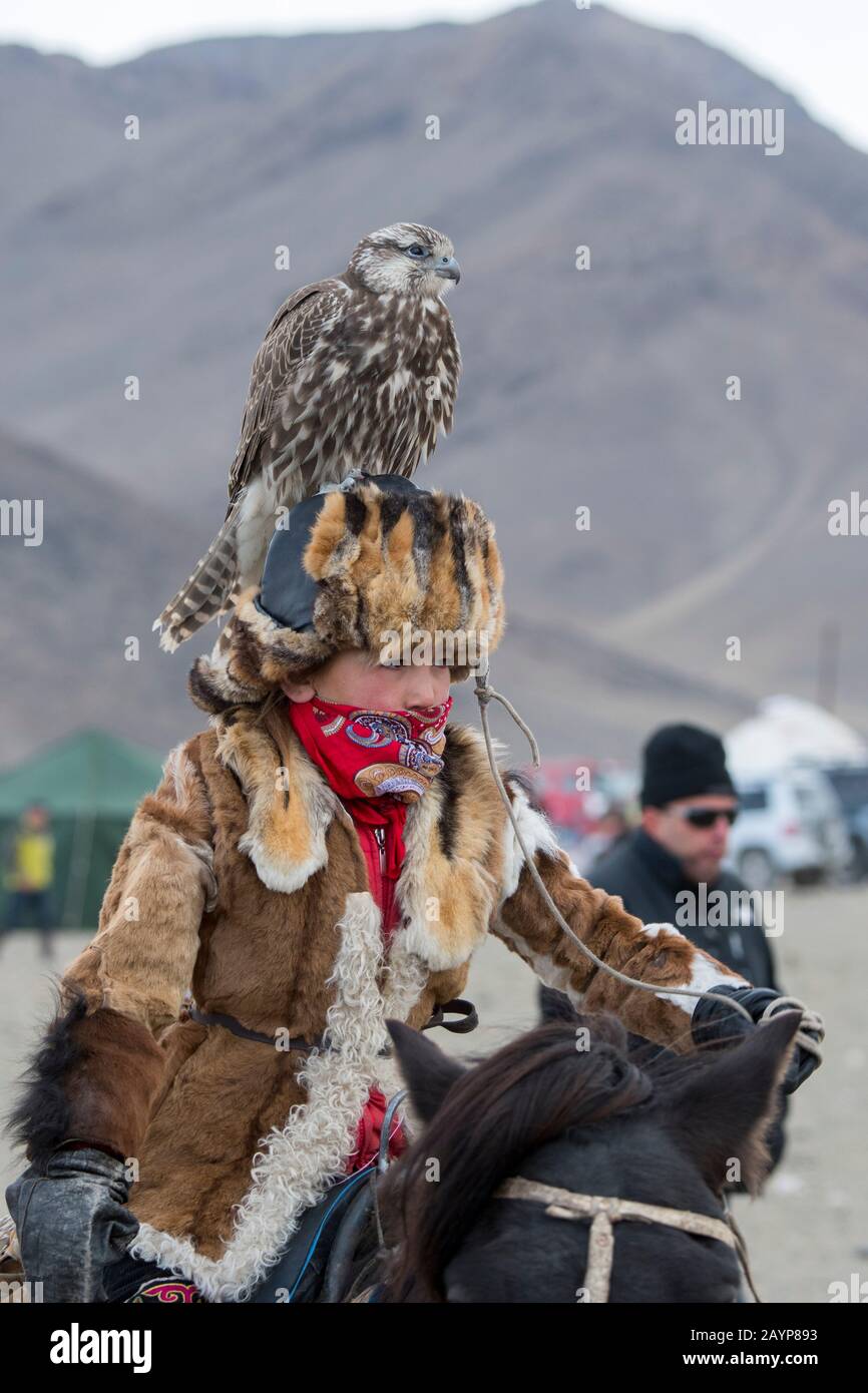 Un adolescente con un halcón sacador (Falco cherrug) en la cabeza en el Golden Eagle Festival cerca de la ciudad de Ulgii (Ölgii) en la provincia de Bayan-Ulgii Foto de stock