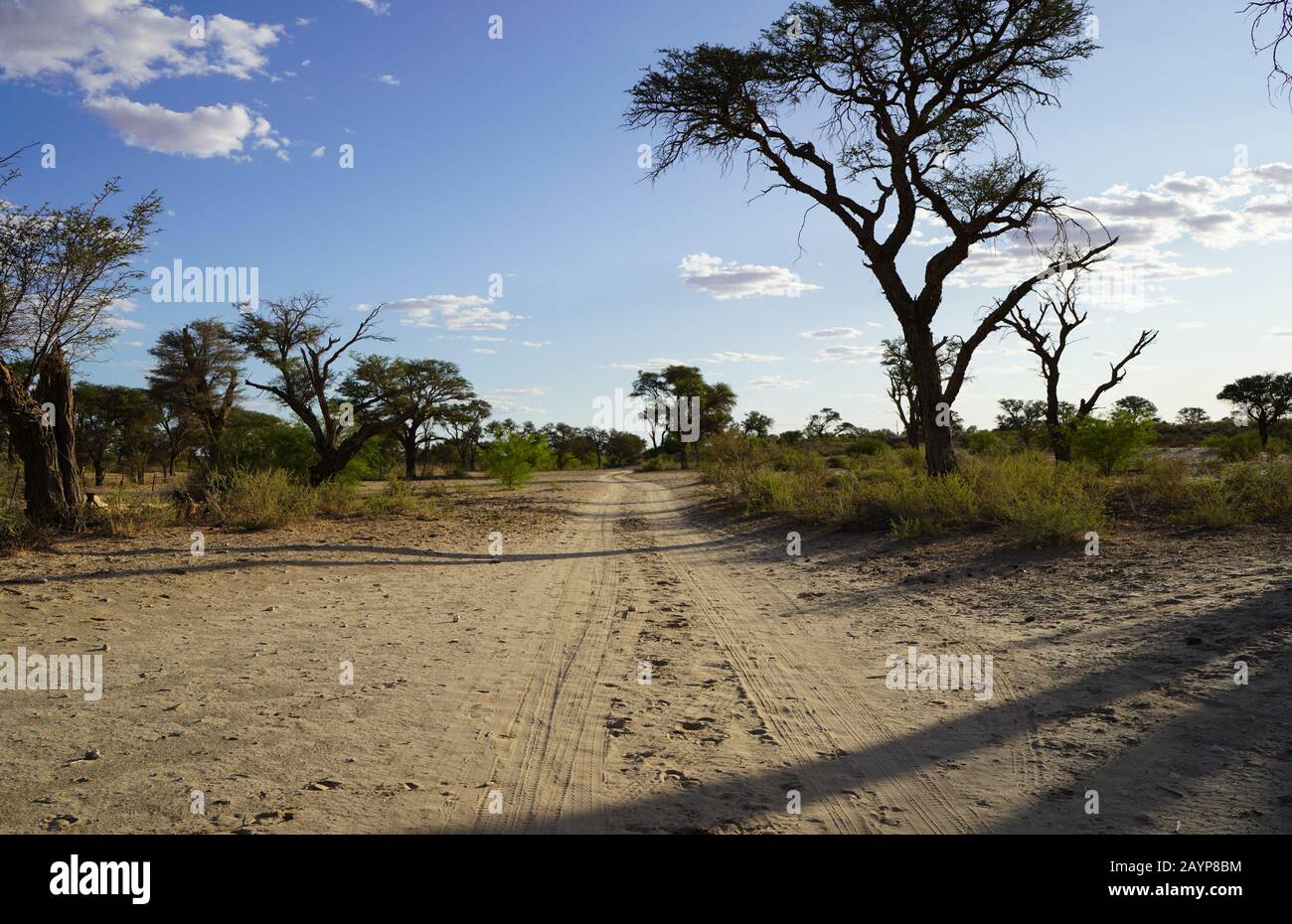 Largo camino de tierra en la sabana abierta, África Foto de stock