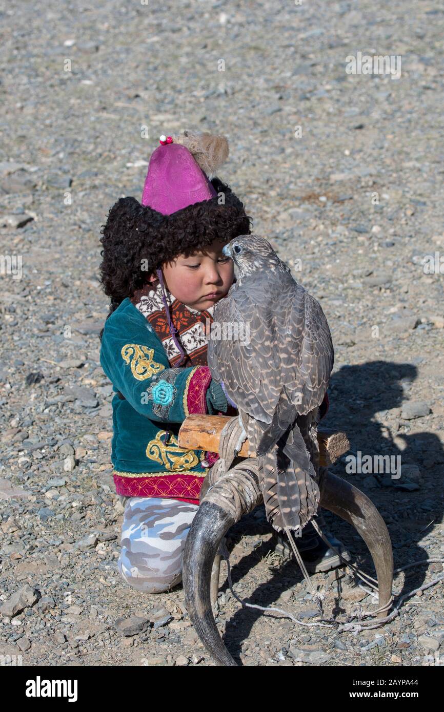 Un niño con un halcón sacador (Falco cherrug) en el Golden Eagle Festival cerca de la ciudad de Ulgii (Ölgii) en la provincia de Bayan-Ulgii en Mongolia occidental. Foto de stock