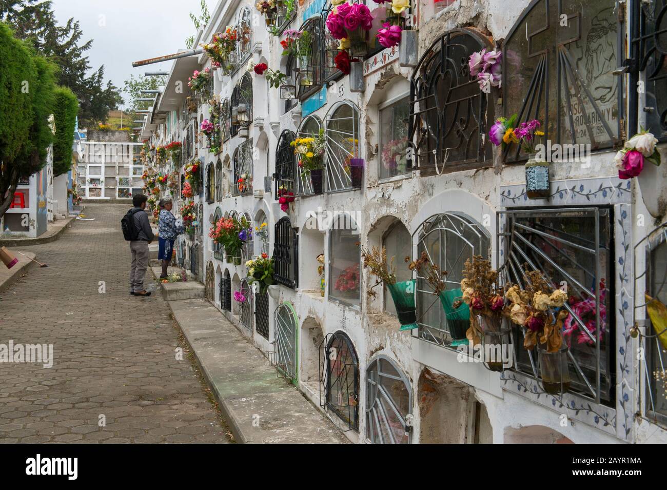 Las tumbas están decoradas con flores en el cementerio Cayambe en las