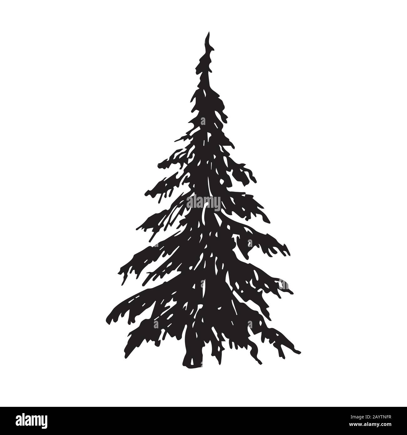 Silueta de pino, dibujo de fideos dibujado a mano, ilustración en blanco y  negro Fotografía de stock - Alamy
