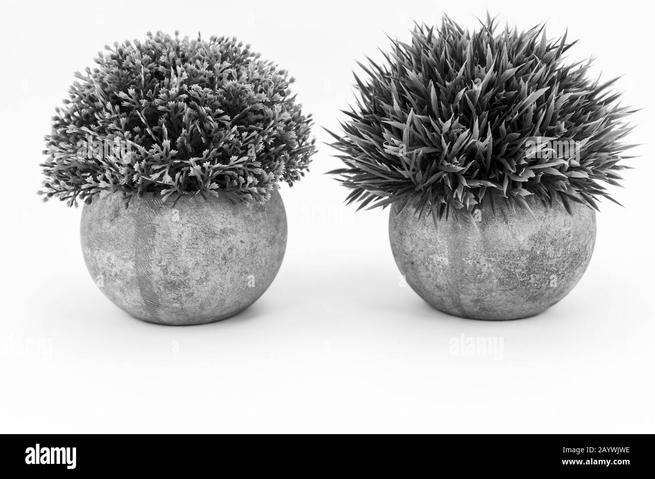 plantas artificiales en macetas sobre un fondo blanco - concepto de la naturaleza Foto de stock