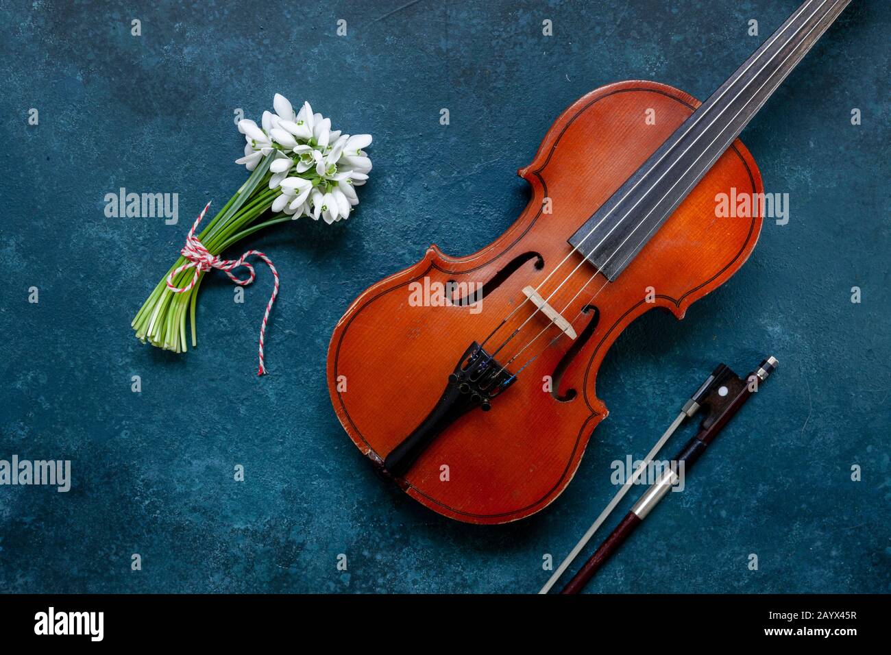 Primavera VF-001 Half-Size (½ Size) Violin Outfit | Yamaha Music London