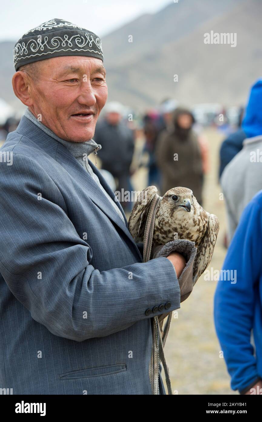 Un hombre que celebra un halcón sacador (Falco cherrug) en el Golden Eagle Festival en el recinto del festival cerca de la ciudad de Ulgii (Ölgii) en El Bayan-Ulgii Pr Foto de stock