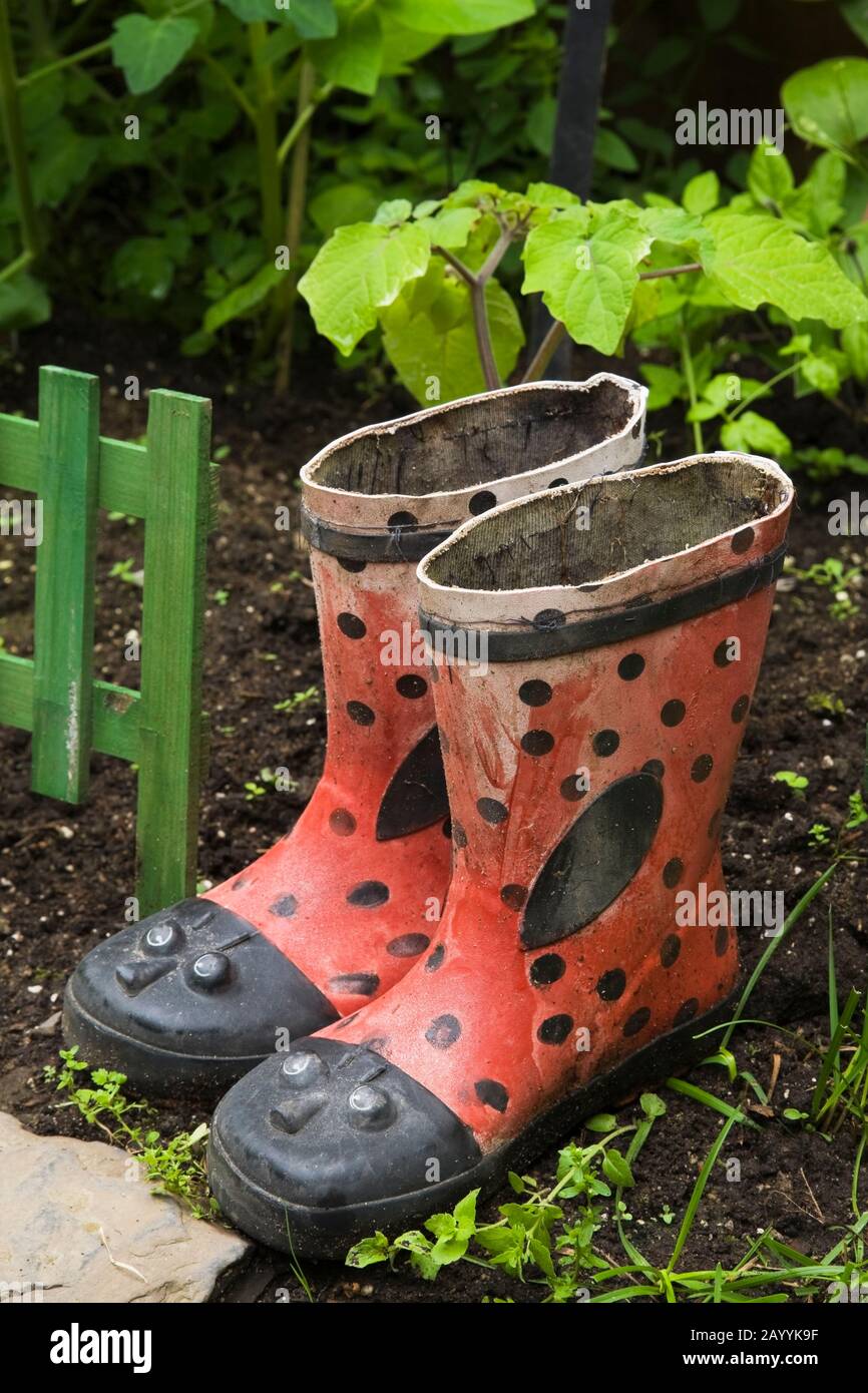 Primer plano de rojo infantil con botas de goma de polka negra en el borde  del jardín urbano del patio trasero en verano Fotografía de stock - Alamy