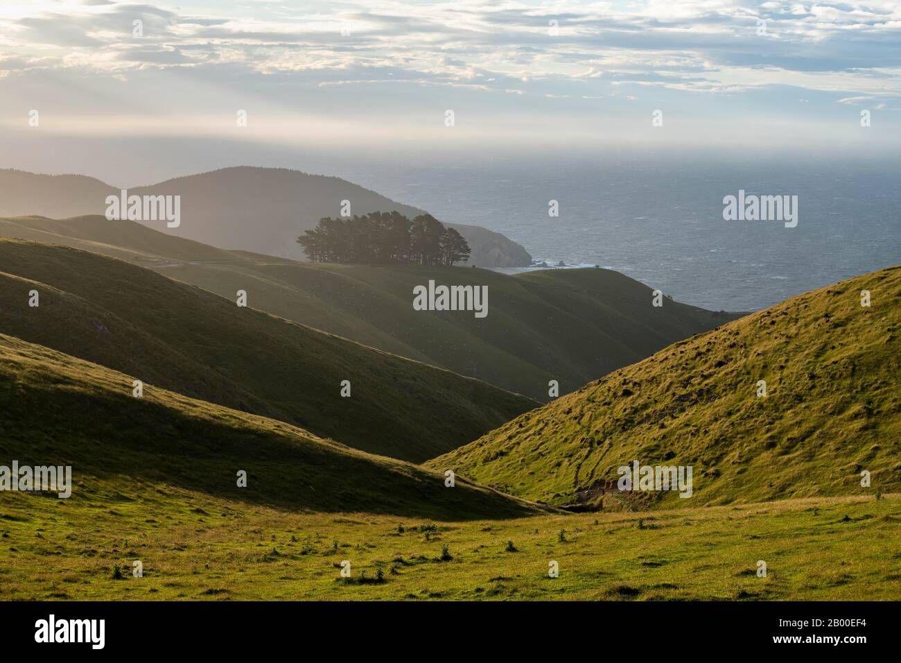 Vista de paisaje montañoso cerca de French Pass, región de Marlborough, Marlborough Sounds, Picton, South Island, Nueva Zelanda Foto de stock