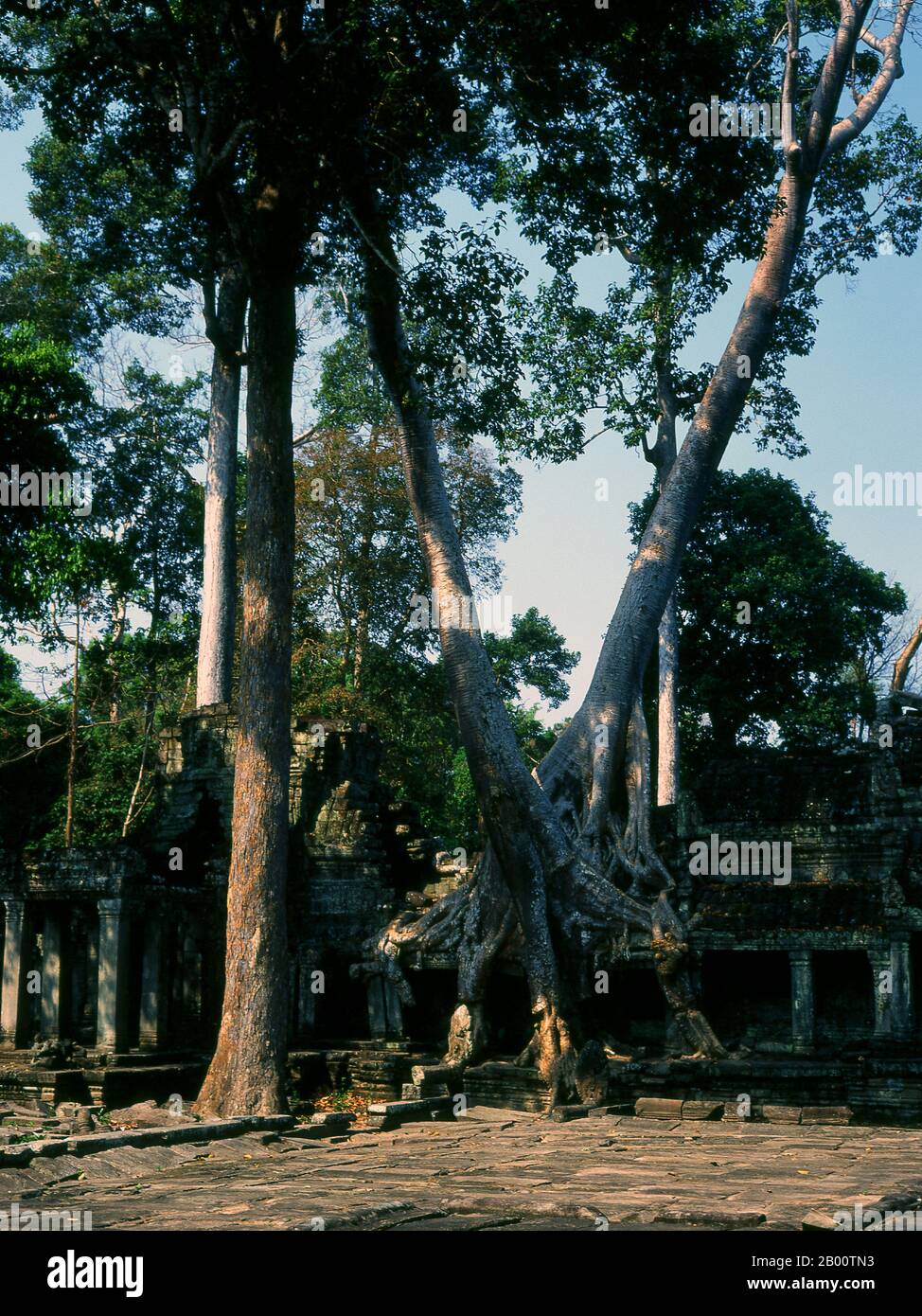 Camboya: Patio de entrada oriental, Preah Khan, Angkor. Preah Khan (Templo de la Espada Sagrada) fue construido a finales del siglo 12 (1191) por Jayavarman VII y se encuentra justo al norte de Angkor Thom. El templo fue construido en el sitio de la victoria de Jayavarman VII sobre los Chams invasores en 1191. Fue el centro de una organización sustancial, con casi 100,000 funcionarios y empleados. Sirvió como universidad budista en un momento. La deidad primaria del templo es el boddhisatva Avalokiteshvara en la forma del padre de Jayavarman. Foto de stock