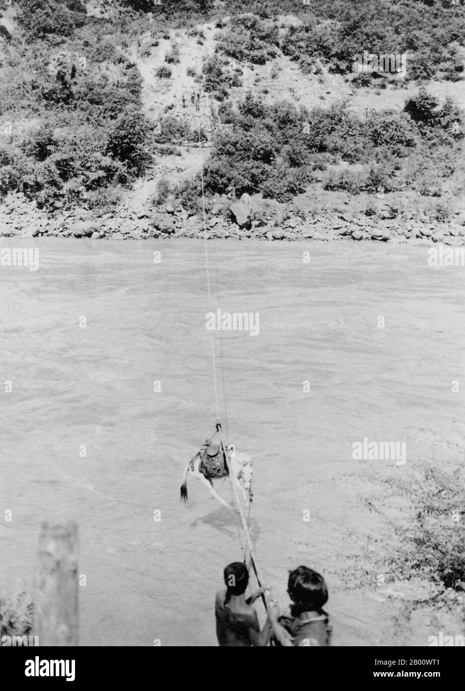 China: Un caballo que cruza el río Mekong en un puente de transporte en la provincia de Yunnan, al sur de China, en 1939. El río Mekong es el 12º río más largo del mundo. Desde su fuente del Himalaya en la meseta tibetana, fluye unos 4,350 km (2,703 millas) a través de la provincia China de Yunnan, Birmania, Laos, Tailandia, Camboya y Vietnam, finalmente drenando en el Mar del Sur de China. La reciente construcción de represas hidroeléctricas en el río y sus afluentes ha reducido drásticamente el flujo de agua durante la estación seca en el sudeste asiático. Foto de stock