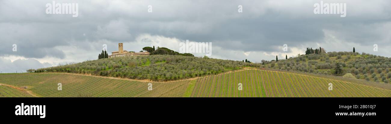 San Gimignano (vista de las campañas), Patrimonio de la Humanidad de la UNESCO - Toscana, Italia, Europa Foto de stock