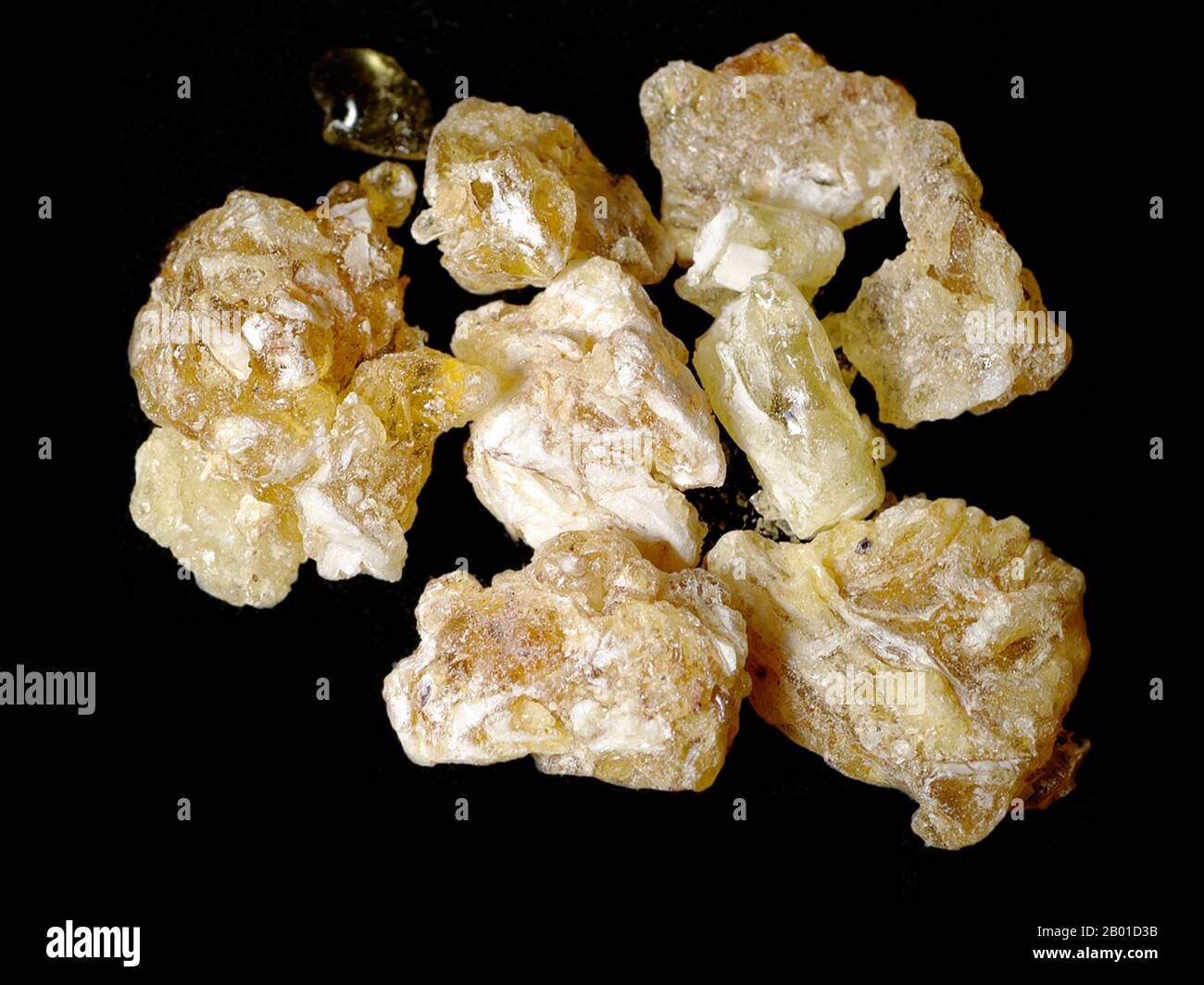 Arabian incense boswellia sacra fotografías e imágenes de alta resolución -  Alamy