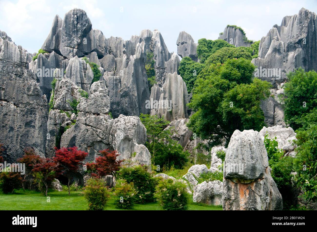 China: Bosque de piedra (Shilin), condado autónomo de Shilin Yi, provincia de Yunnan. Shilin (El Bosque de Piedra) es una fantasía de otro mundo de formaciones de piedra caliza retorcidas que comprenden el laberinto de piedra natural más grande del mundo. Los geólogos dicen que las estructuras se originaron hace 200 millones de años con la interacción de la piedra caliza, el agua de mar, el agua de lluvia y los trastornos sísmicos. Los pináculos extraños que resultaron son del tipo distintivo de piedra caliza llamada kárst, la misma geología que se encuentra en Guilin. Foto de stock