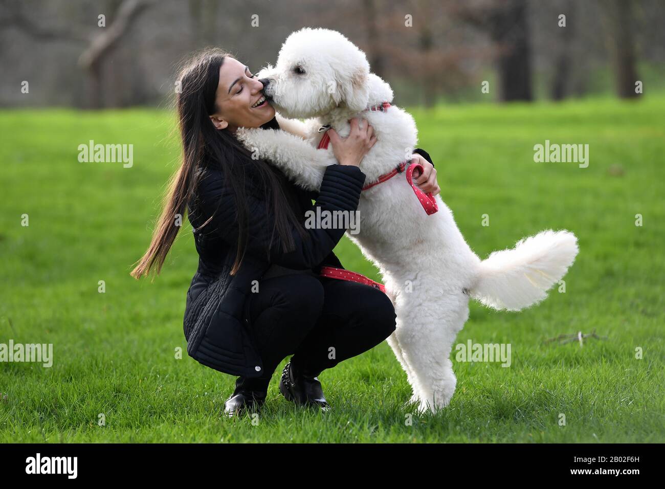 Hayley Byrne-Se Une con su perro Ellie, uno de los finalistas de Amigos por la vida 2020, en un evento de lanzamiento para los Crufts y Amigos por la vida de este año en Green Park, Londres. Foto de stock