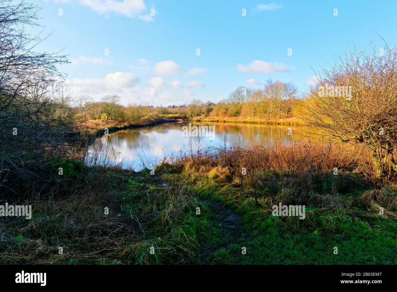 Un pequeño estanque en el campo, con bancos arbolados, refleja el cielo azul del invierno Foto de stock