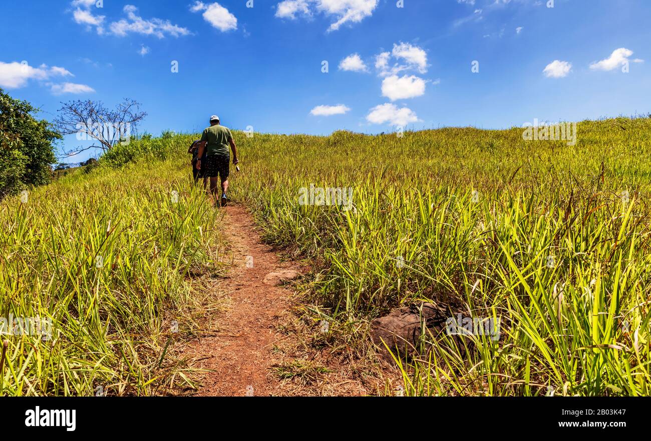 Vista del paisaje en campo de agricultores en la Península de Azuero, en Panamá Foto de stock