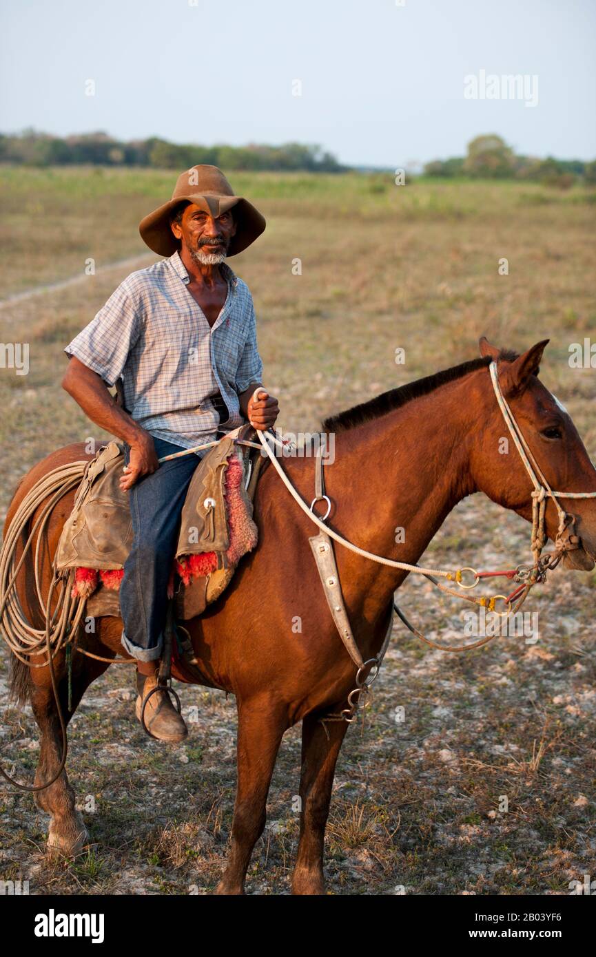 Pantaneiro (vaquero local) sobre su caballo en el Pouso Alegre Lodge en el Pantanal norte en la provincia de Mato Grosso de Brasil. Foto de stock