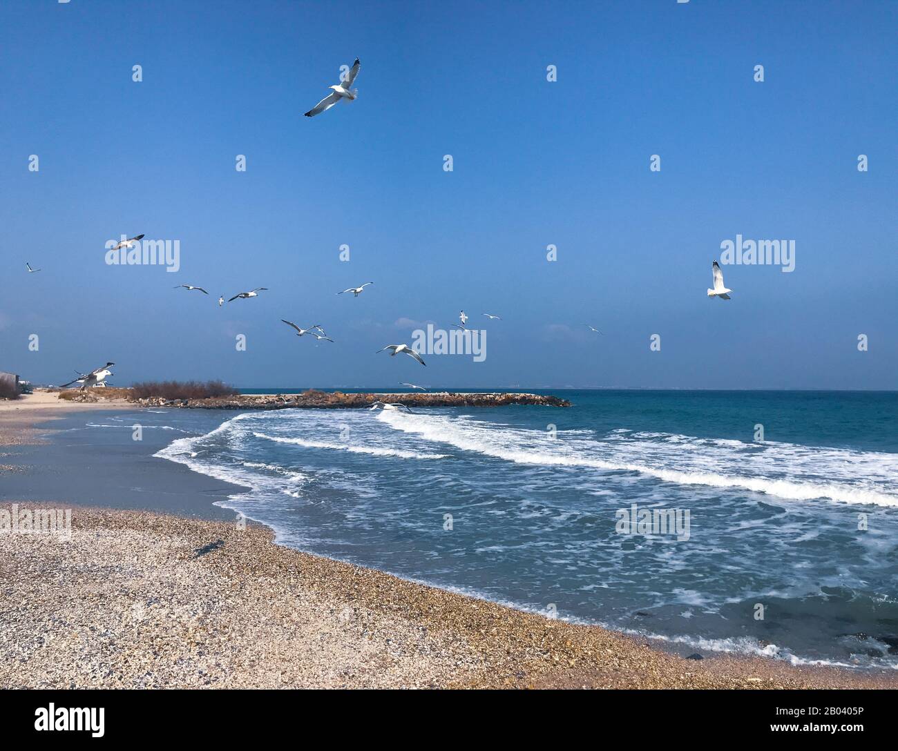 Un Flock De Seabirds Volar Sobre El Mar Azul. Foto de stock