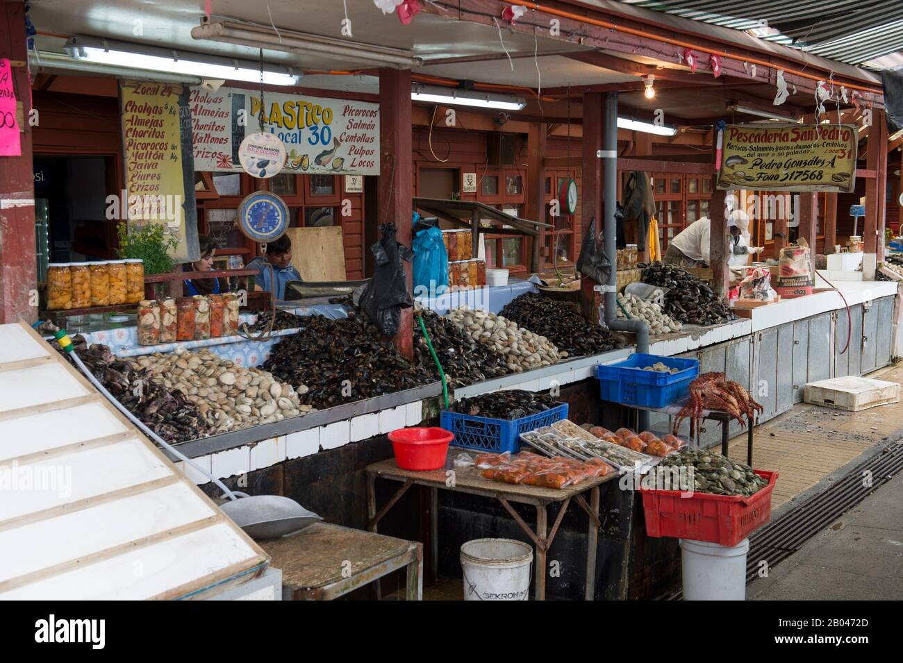 Panorama del mercado con stand de mariscos en el mercado de Angelmo, Puerto  Montt en el sur de Chile Fotografía de stock - Alamy