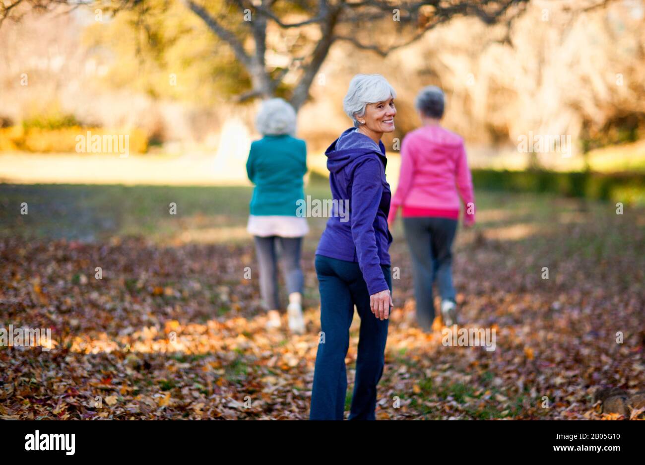 Retrato de una mujer mayor sonriente caminando con sus dos amigos en un parque. Foto de stock