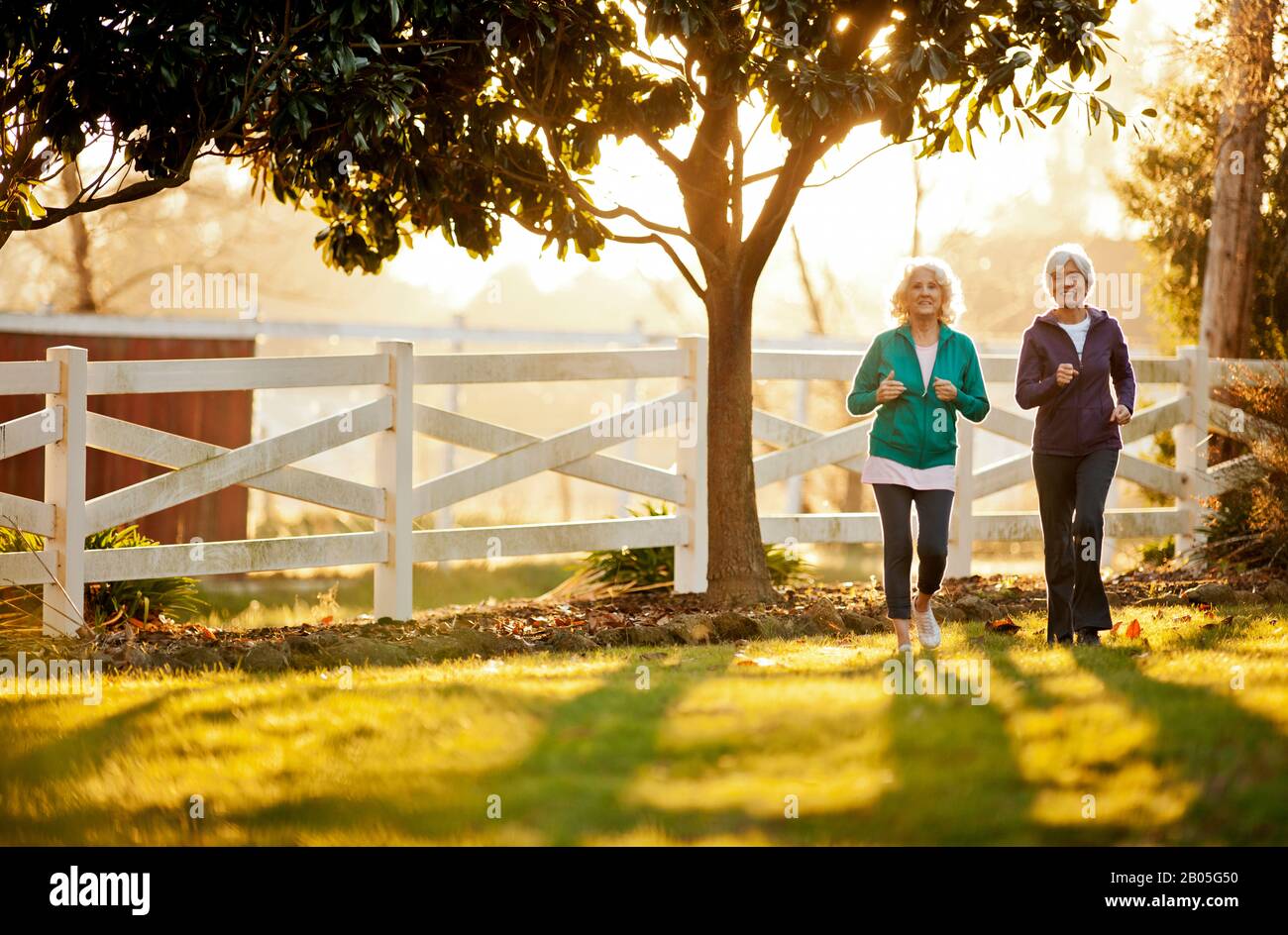 Retrato de dos mujeres mayores sonriendo caminando una junto a otra a través de un parque. Foto de stock