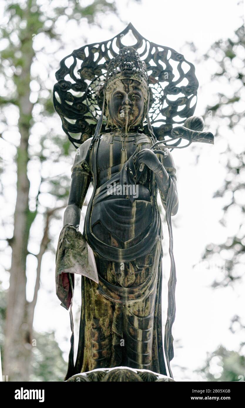 Okunoin, el cementerio más grande de Japón, situado en Mt. Koya, lugar de nacimiento y centro espiritual del budismo Shingon, lugar designado por la UNESCO. Foto de stock
