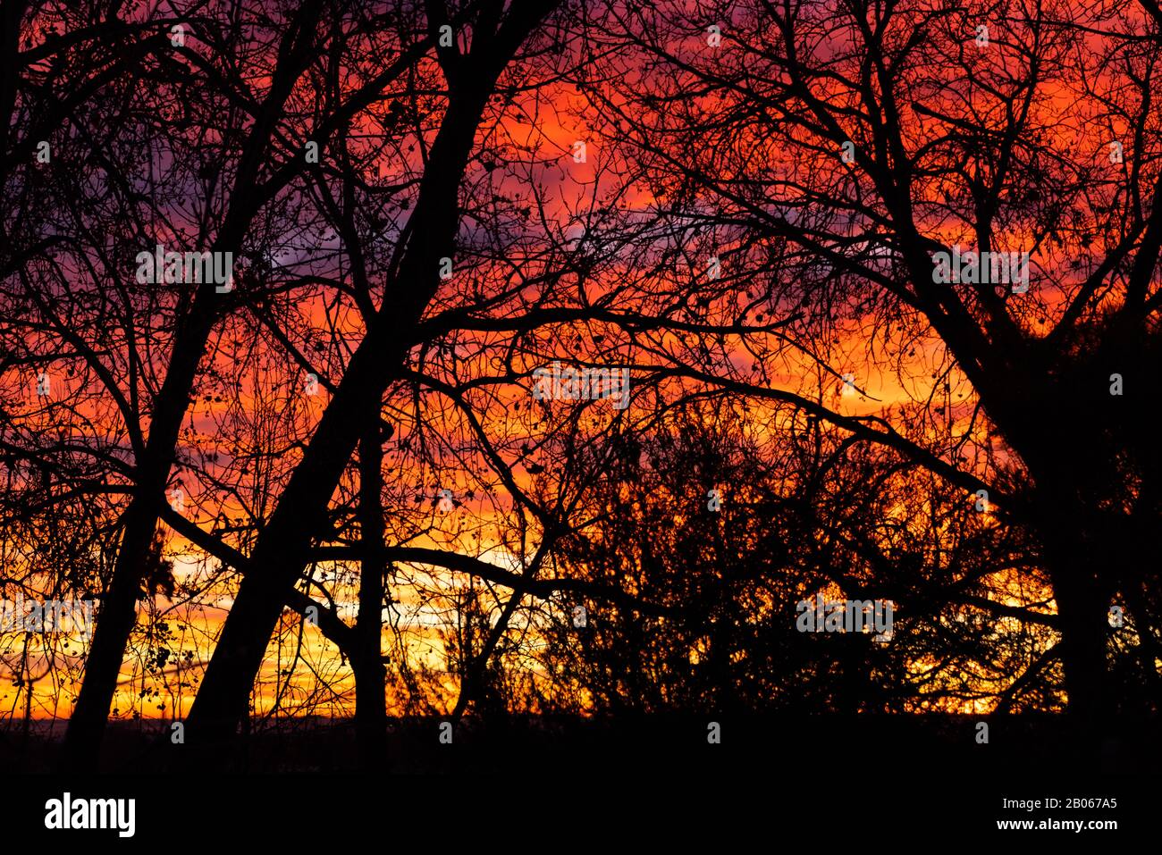 Colorido Amanecer En Louisville, Colorado Foto de stock
