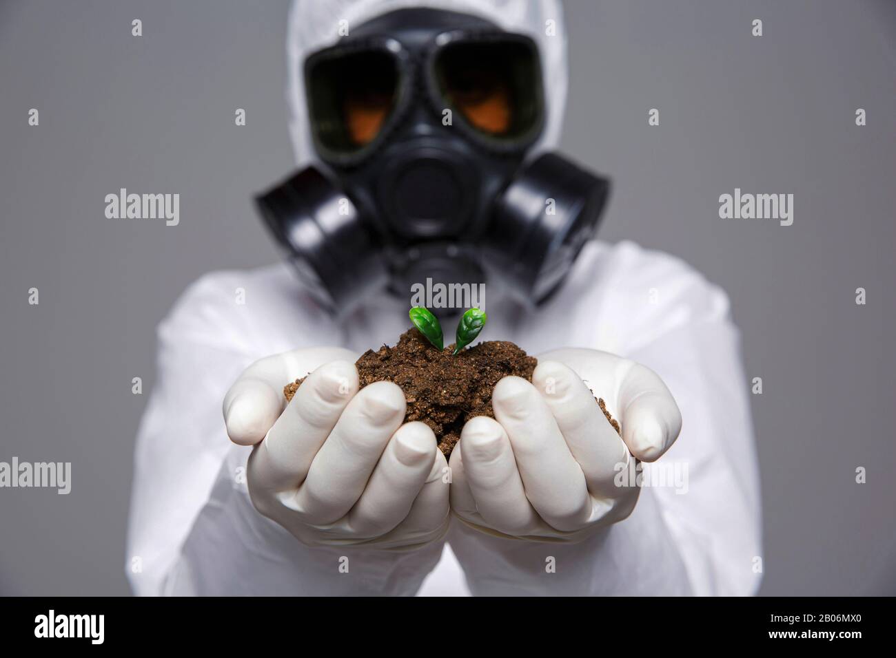 Gas Mask Plant Imgenes De Stock Gas Mask Plant Fotos De Stock
