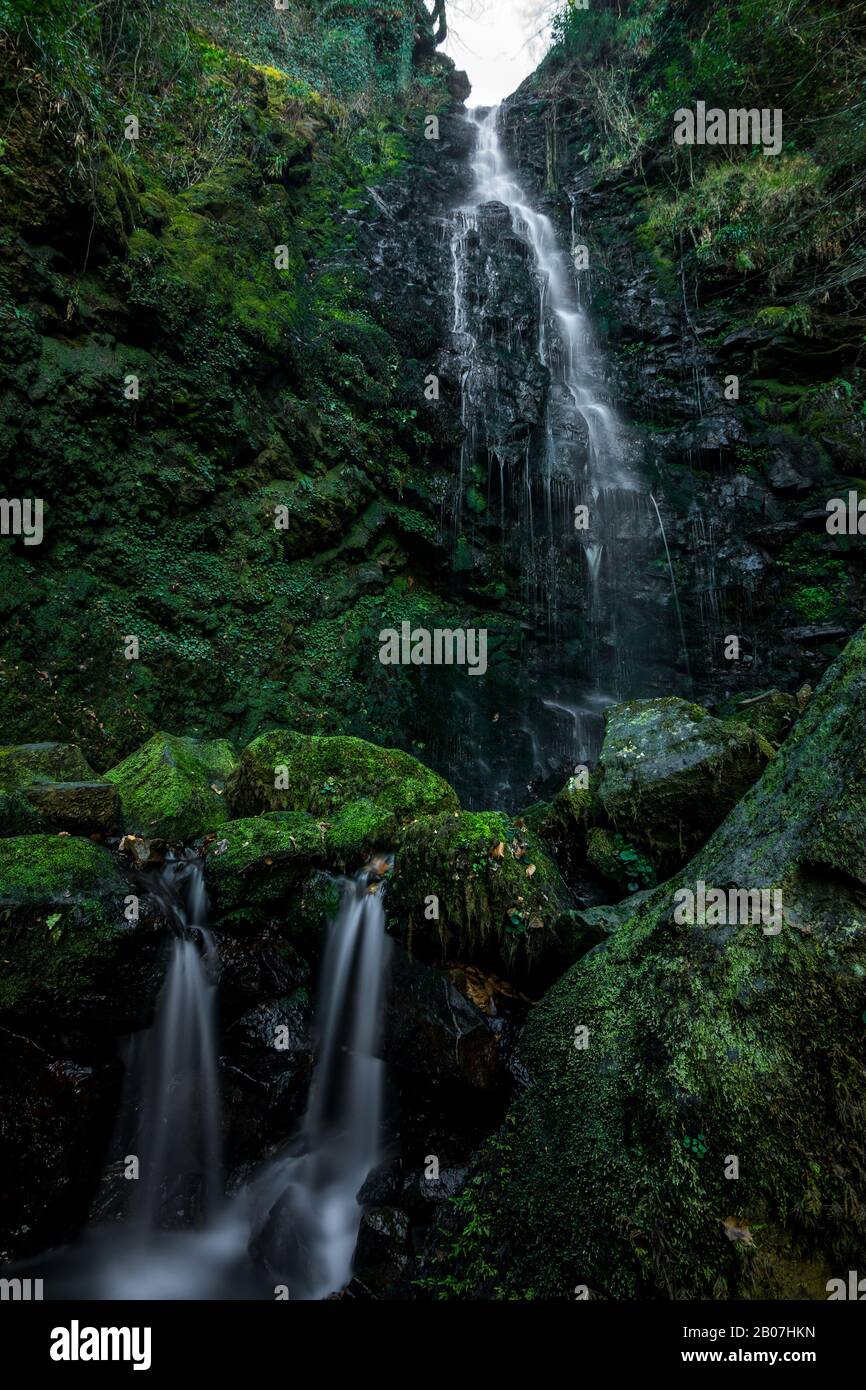Larga exposición de una cascada en un bosque verde Foto de stock