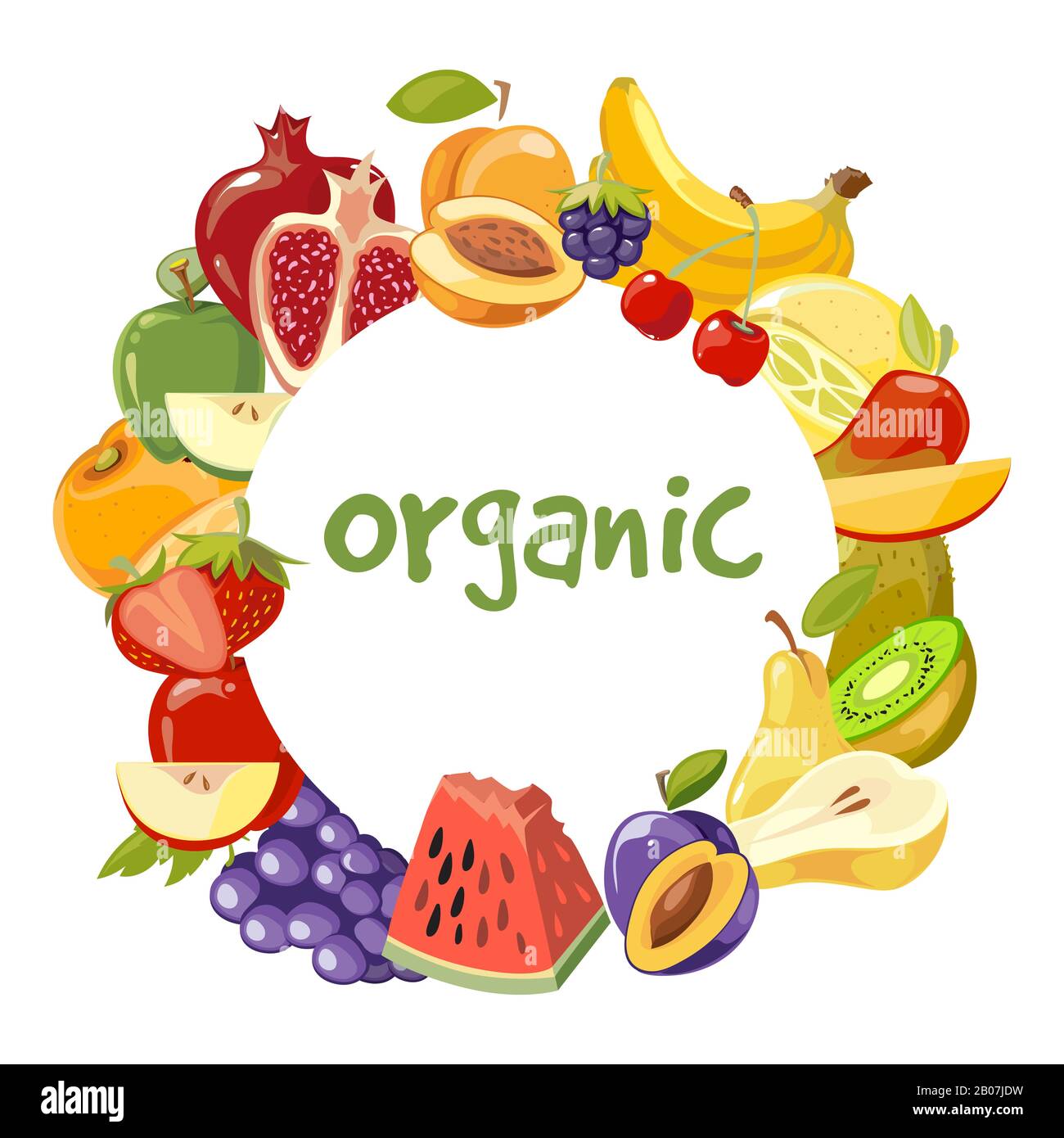 Vector de frutas orgánicas marco aislado. Banner con ilustración de alimentos frescos naturales Ilustración del Vector