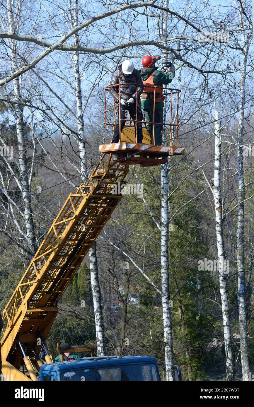 Podadora telescópica fotografías e imágenes de alta resolución - Alamy