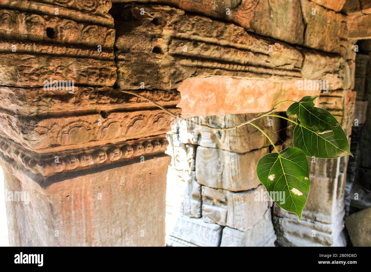 Ruinas de un templo en la selva, cerca de Angkor Wat, Siem Reap, Camboya Foto de stock