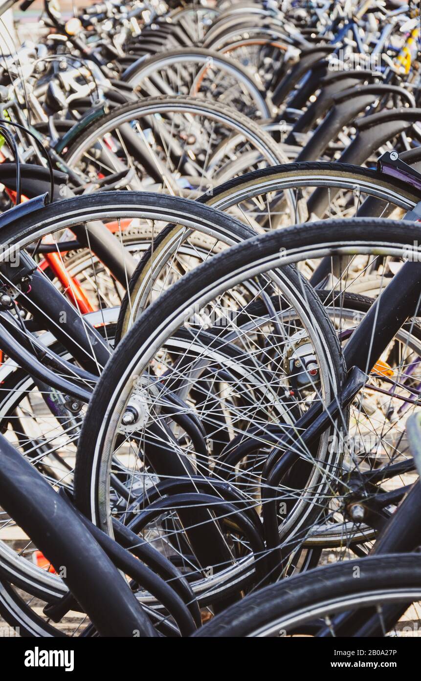 bici ruedas de la 13